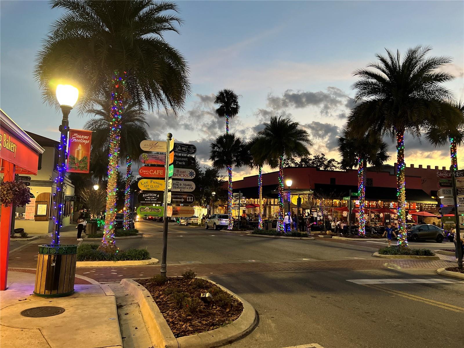 810 N TREMAIN ST, MOUNT DORA, FL, 32757