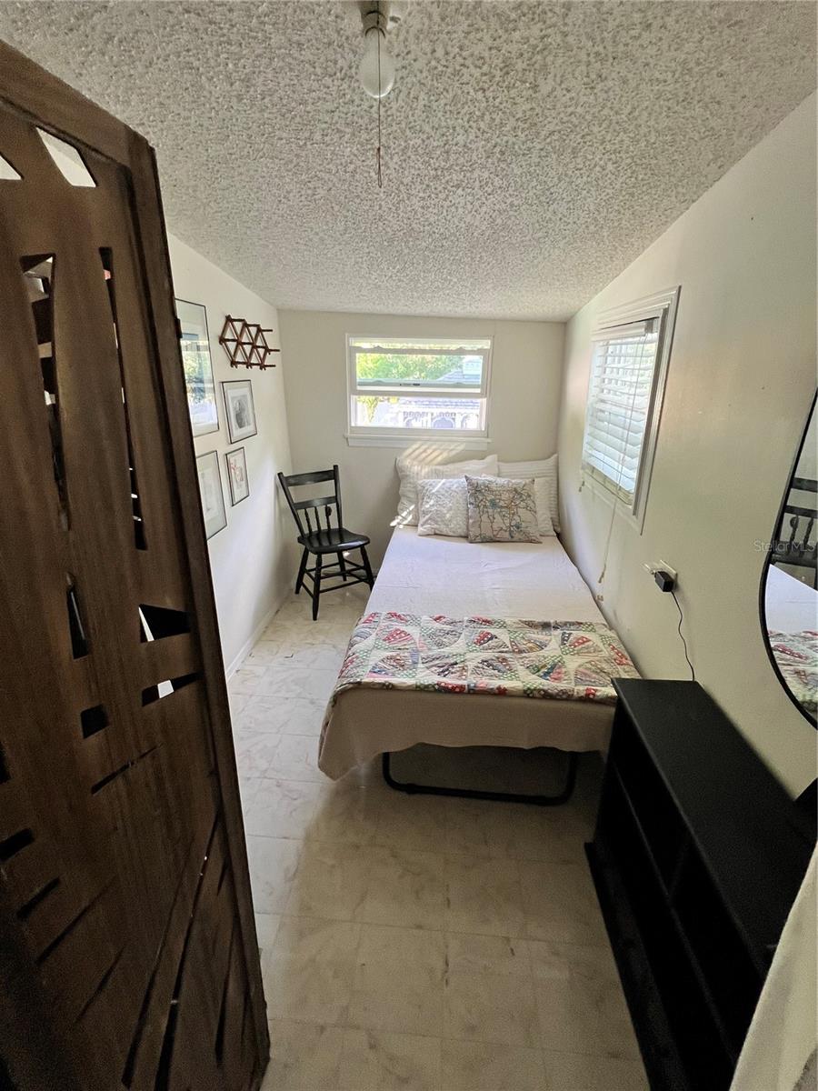 810 N TREMAIN ST, MOUNT DORA, FL, 32757
