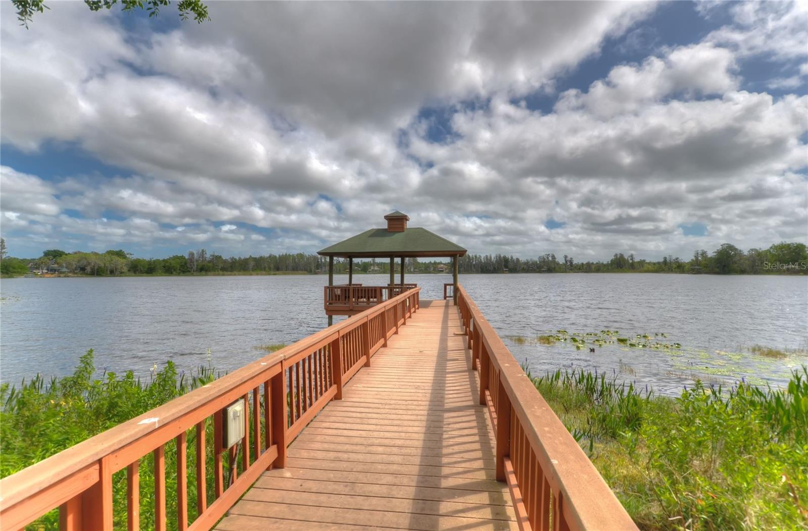 21300 SKY VISTA DR, LAND O LAKES, FL, 34637