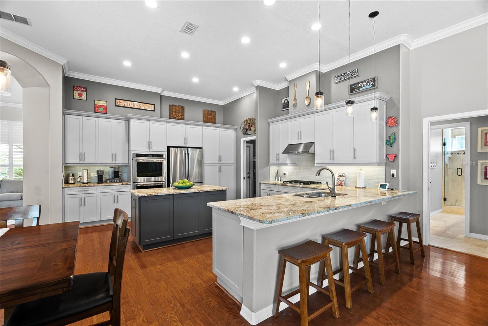 21300 SKY VISTA DR, LAND O LAKES, FL, 34637