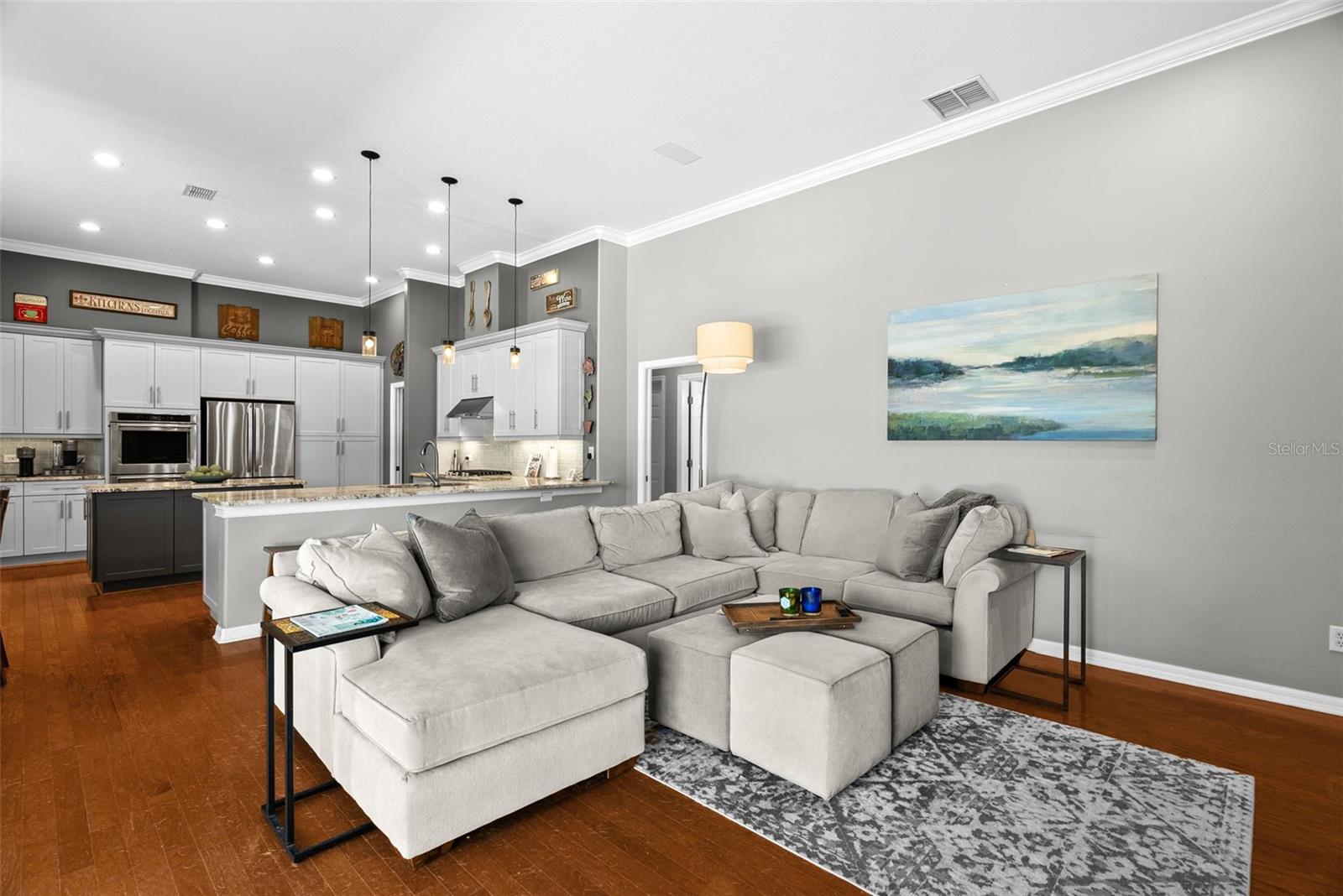 21300 SKY VISTA DR, LAND O LAKES, FL, 34637