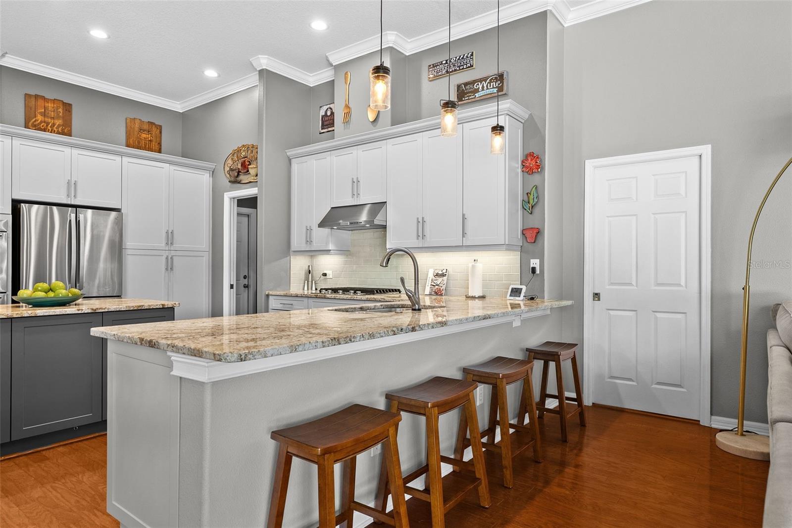 21300 SKY VISTA DR, LAND O LAKES, FL, 34637