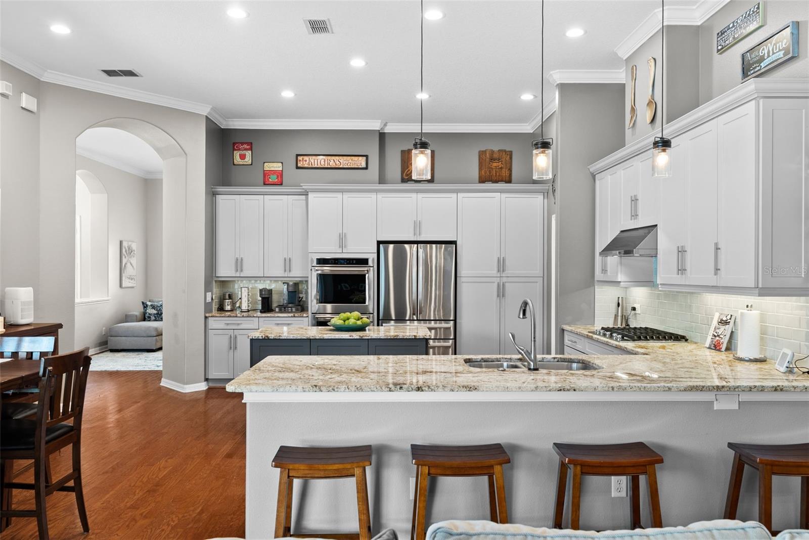 21300 SKY VISTA DR, LAND O LAKES, FL, 34637