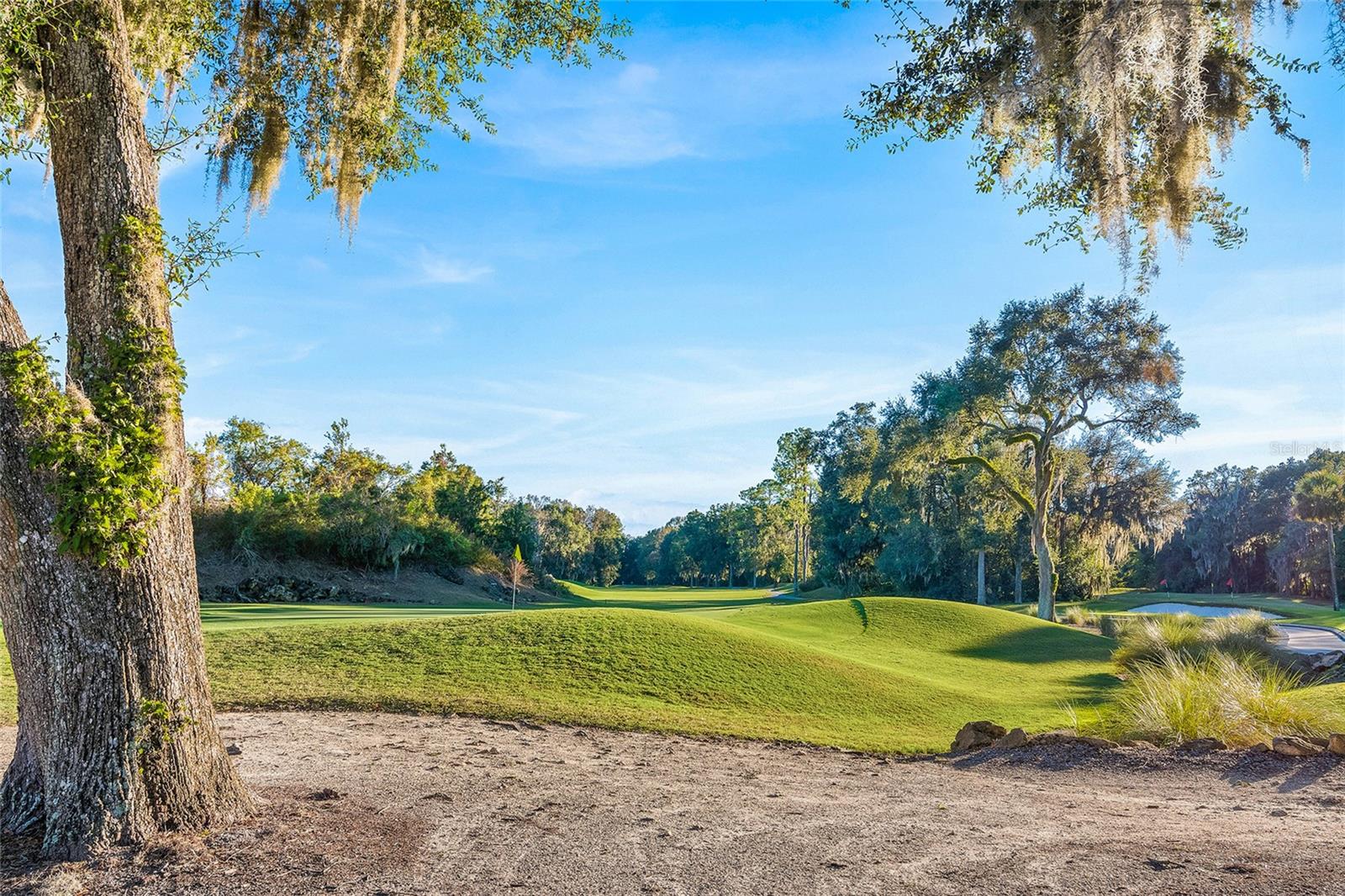 10226 SW 49TH LN, GAINESVILLE, FL, 32608