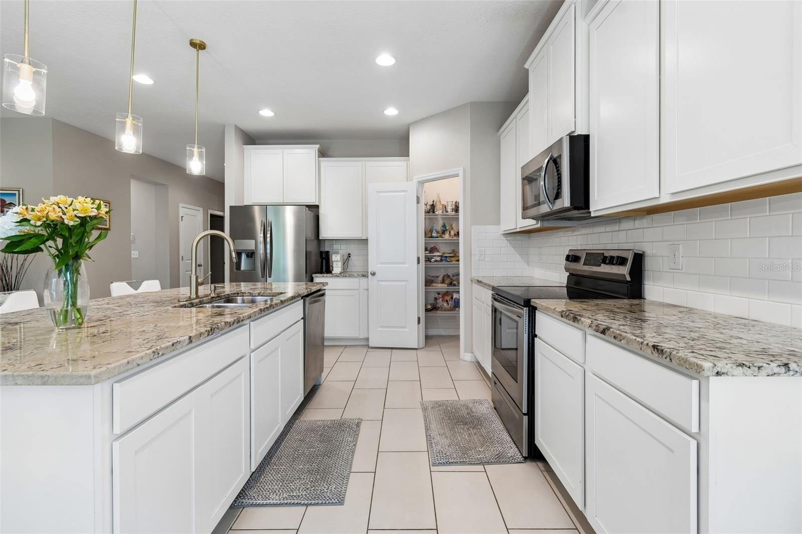 2959 STORYBROOK PRESERVE DR, ODESSA, FL, 33556