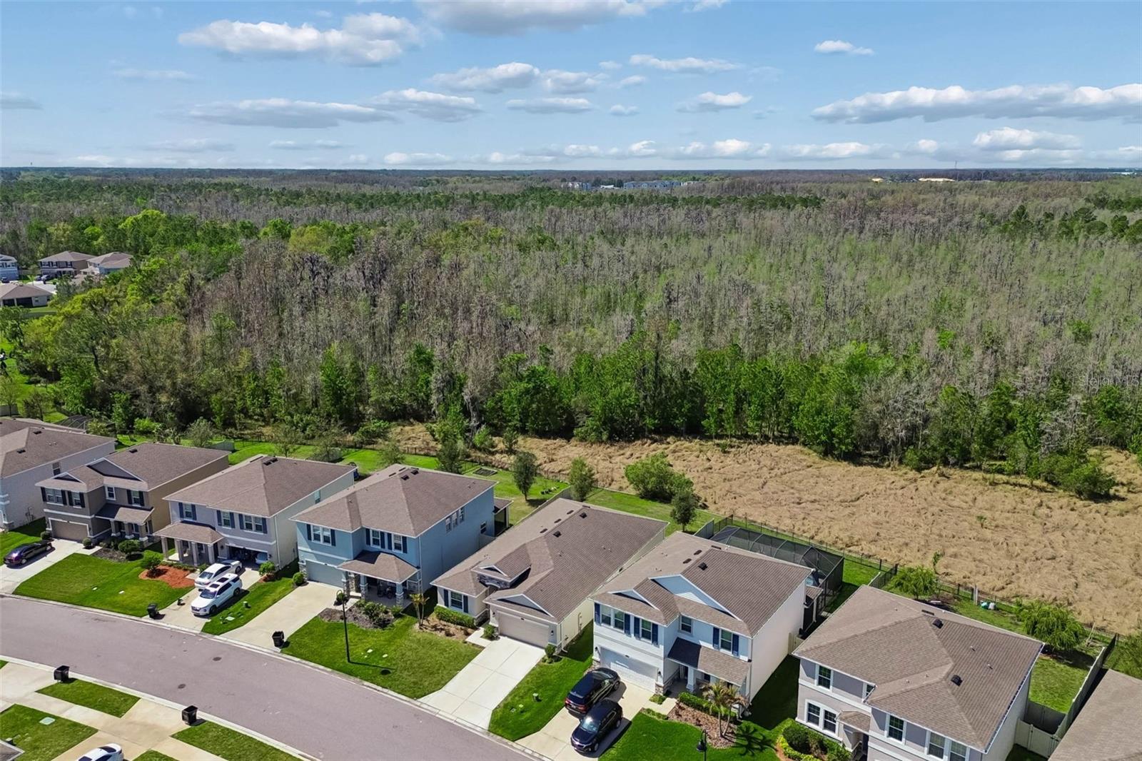 2959 STORYBROOK PRESERVE DR, ODESSA, FL, 33556