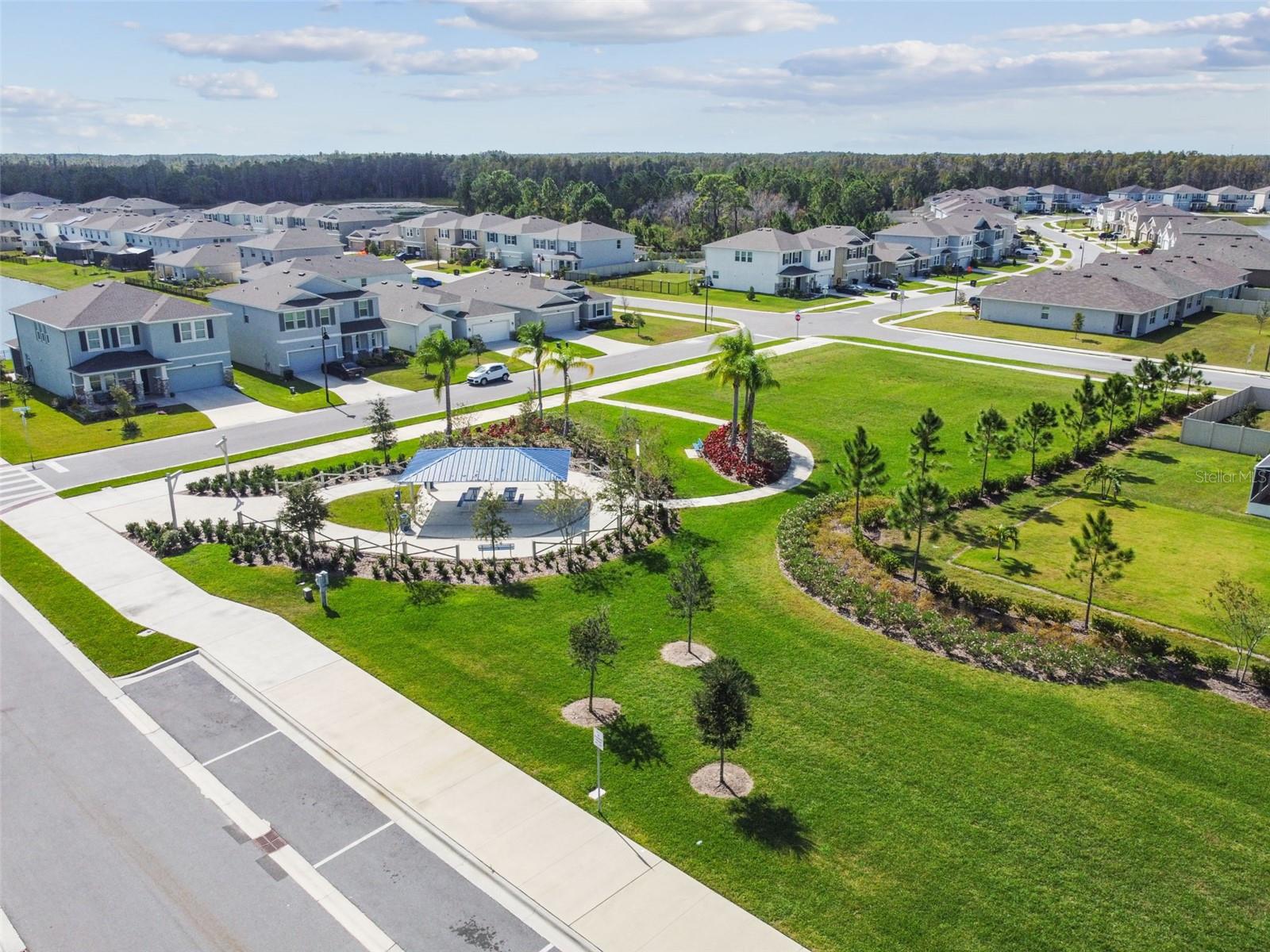 2959 STORYBROOK PRESERVE DR, ODESSA, FL, 33556