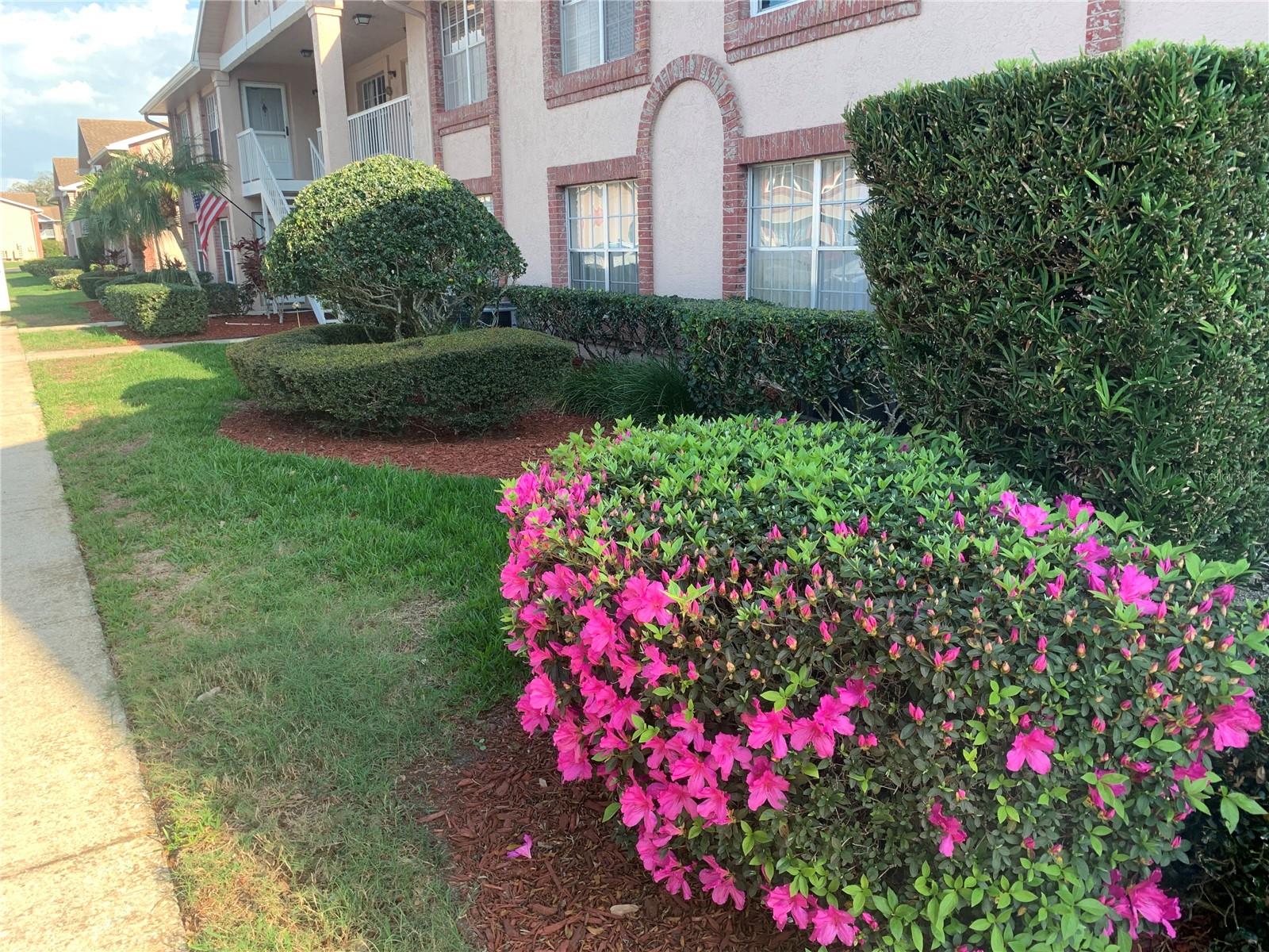 6424 SPRING FLOWER DR #25, NEW PORT RICHEY, FL, 34653