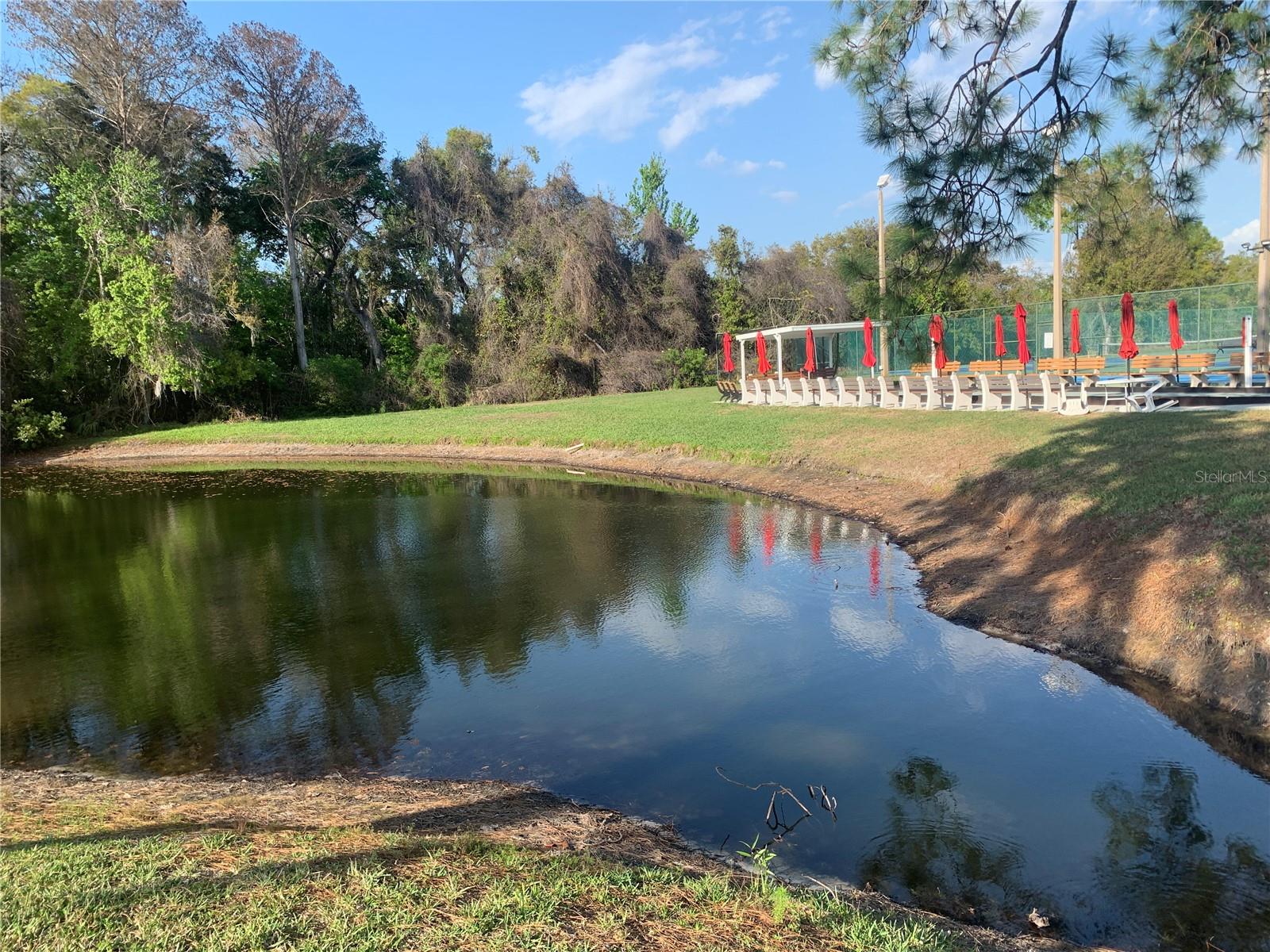 6424 SPRING FLOWER DR #25, NEW PORT RICHEY, FL, 34653