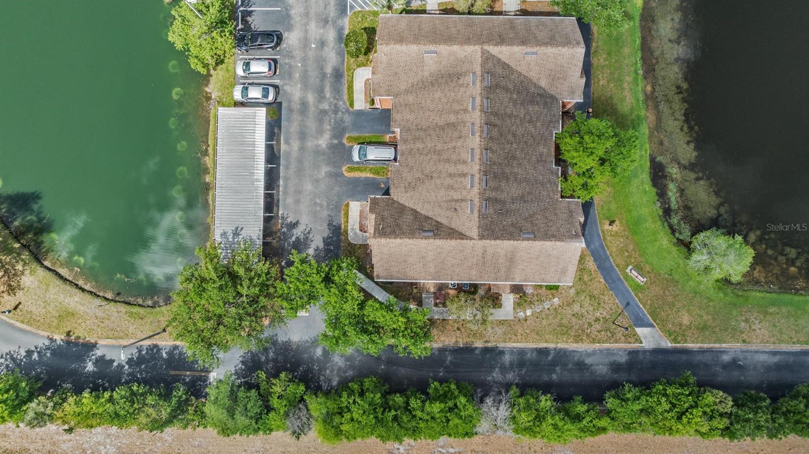 9846 LAKE CHASE ISLAND WAY, TAMPA, FL, 33626