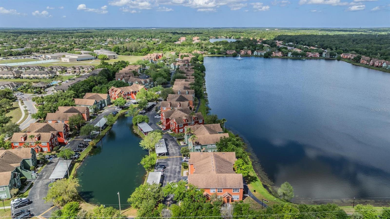 9846 LAKE CHASE ISLAND WAY, TAMPA, FL, 33626
