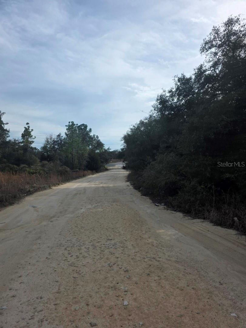 NE 62 PL, WILLISTON, FL, 32696