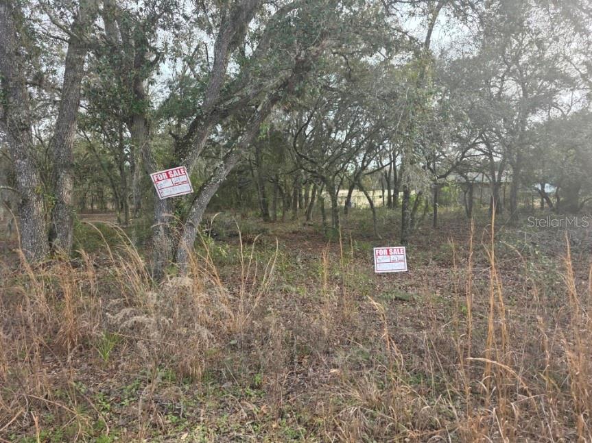 NE 62 PL, WILLISTON, FL, 32696