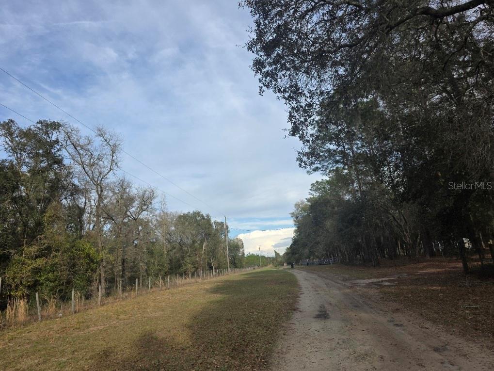NE 62 PL, WILLISTON, FL, 32696