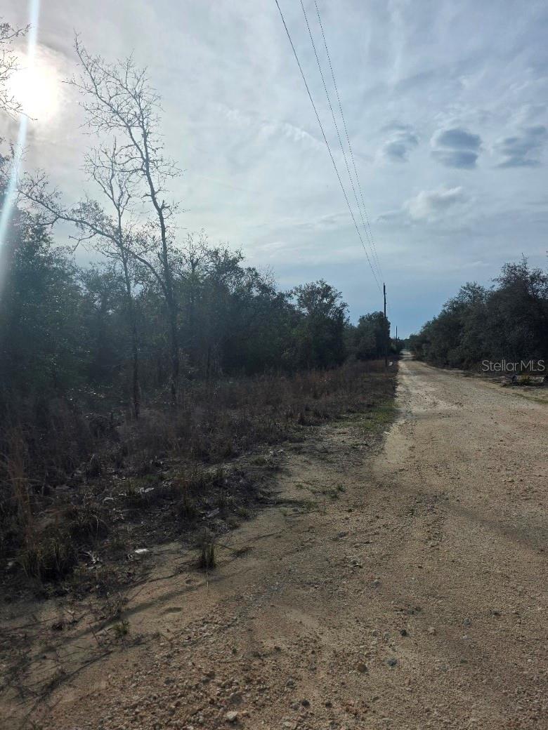 NE 62 PL, WILLISTON, FL, 32696