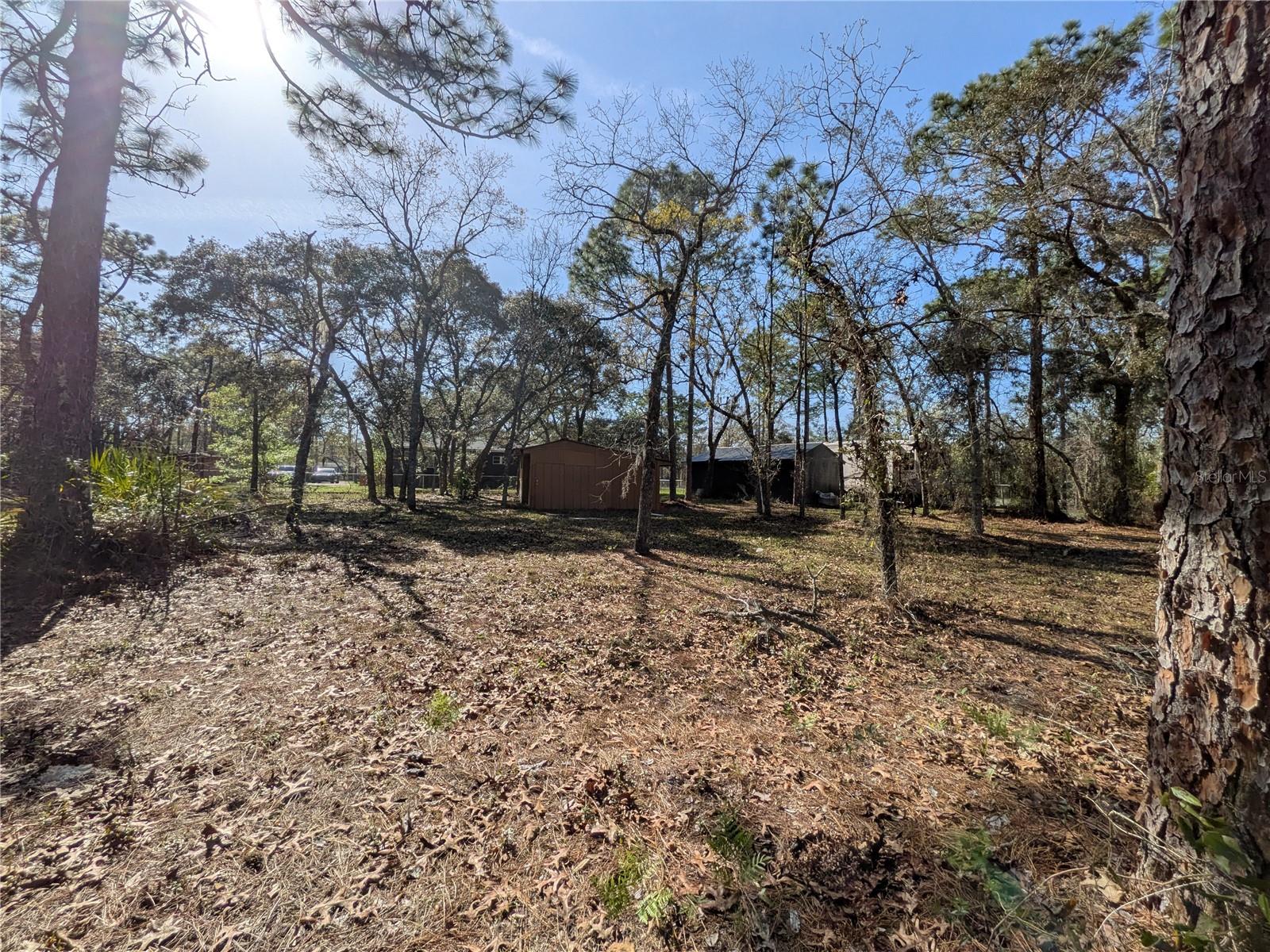 7293 S SORRELL AVE, HOMOSASSA, FL, 34446