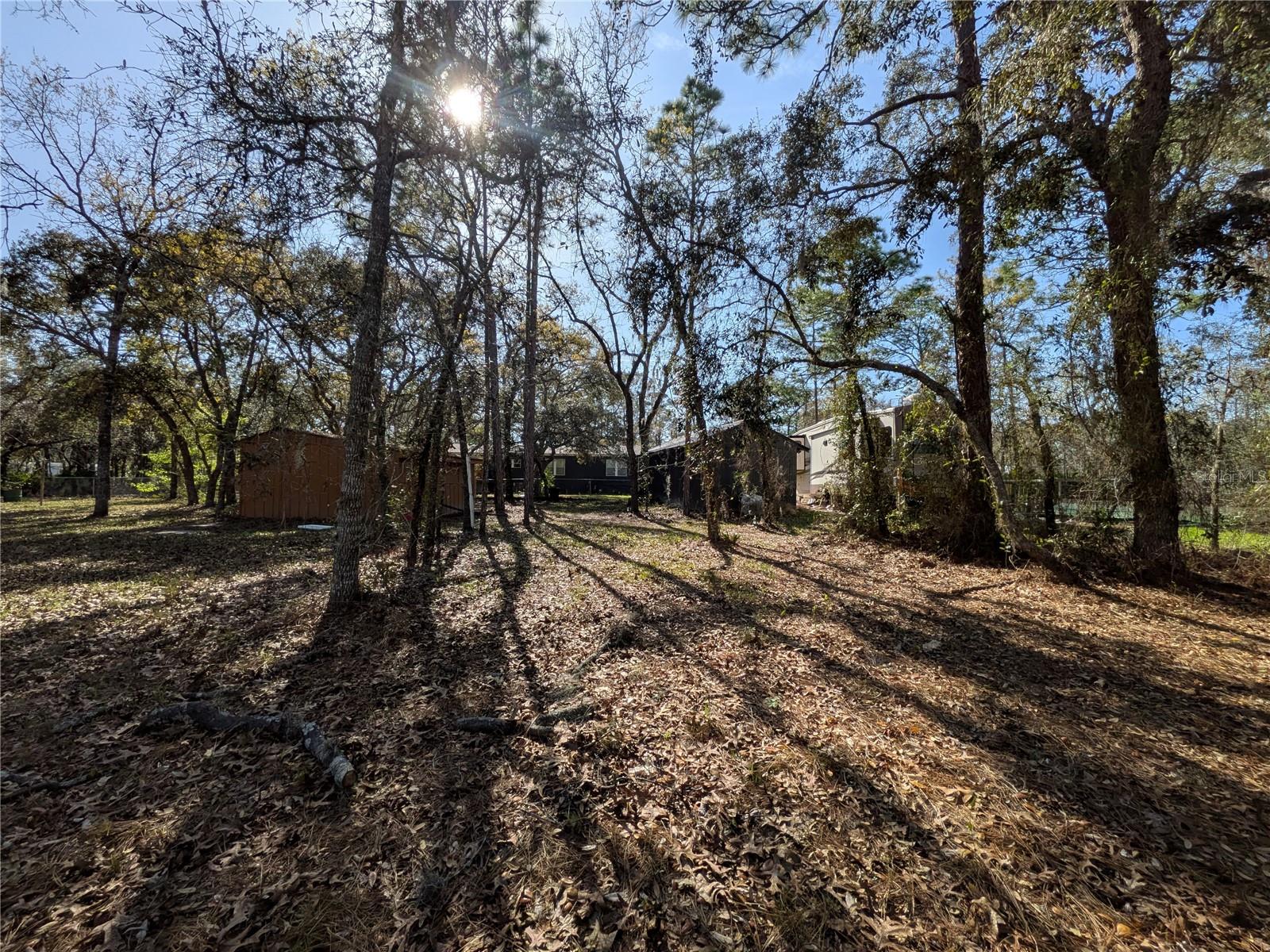 7293 S SORRELL AVE, HOMOSASSA, FL, 34446