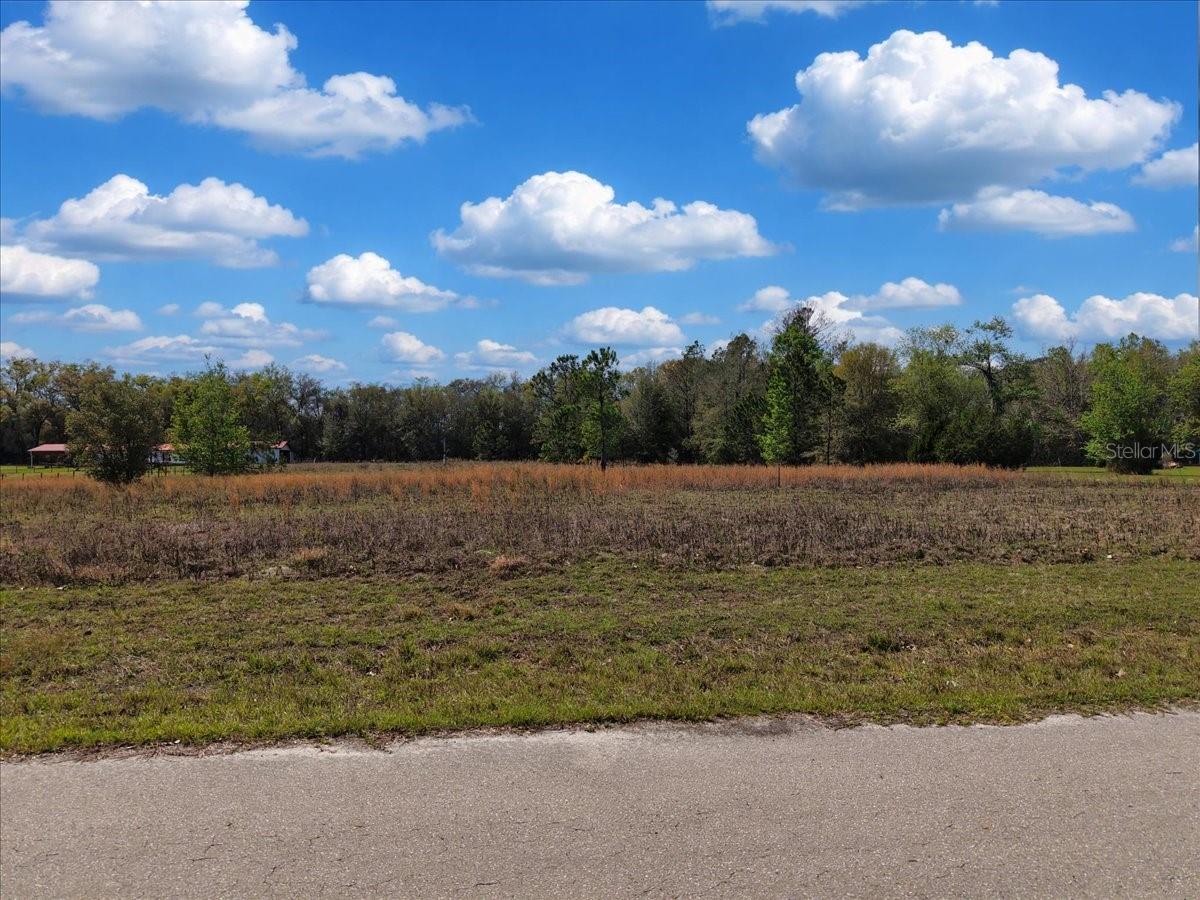 17350 NW 1ST AVE, TRENTON, FL, 32693