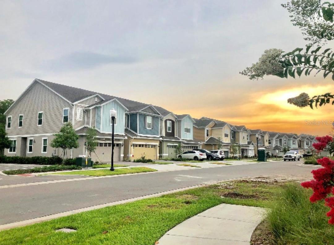 2469 SEDGE GRASS WAY, ORLANDO, FL, 32824