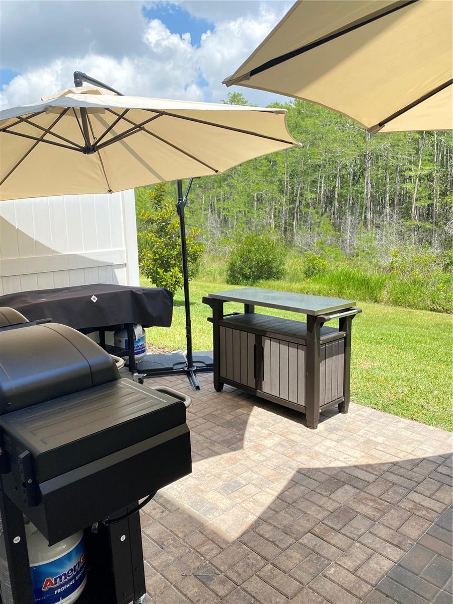 2469 SEDGE GRASS WAY, ORLANDO, FL, 32824