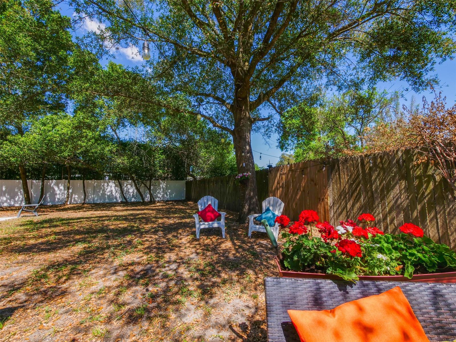 3505 CORRINE DR, ORLANDO, FL, 32803