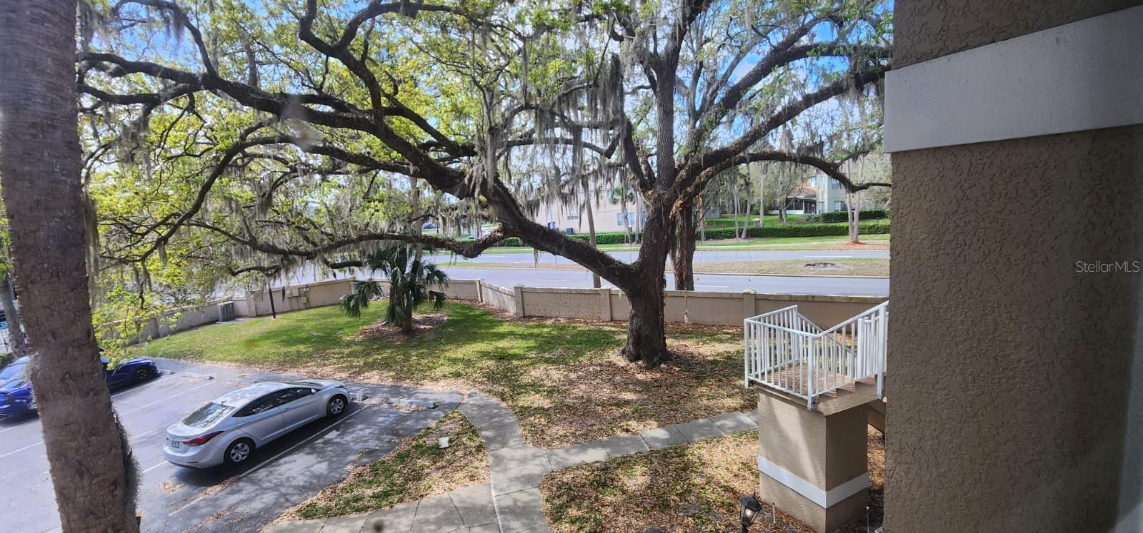 2860 OSPREY COVE PL #202, KISSIMMEE, FL, 34746