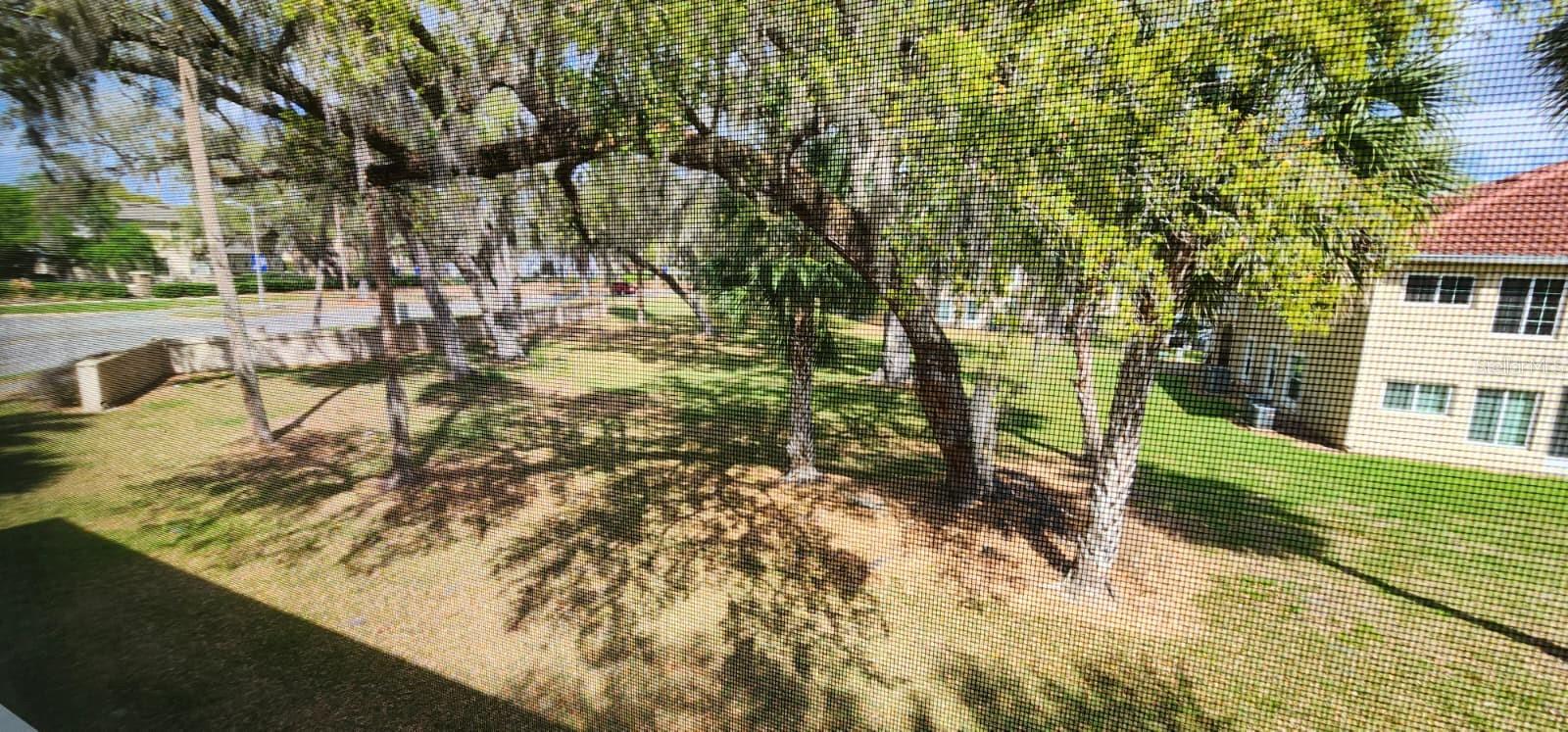 2860 OSPREY COVE PL #202, KISSIMMEE, FL, 34746