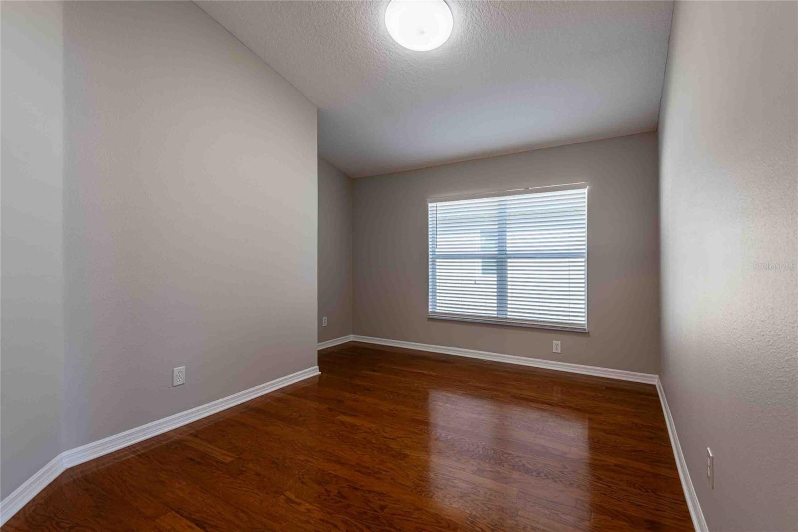 4045 MARCHMONT BLVD, LAND O LAKES, FL, 34638
