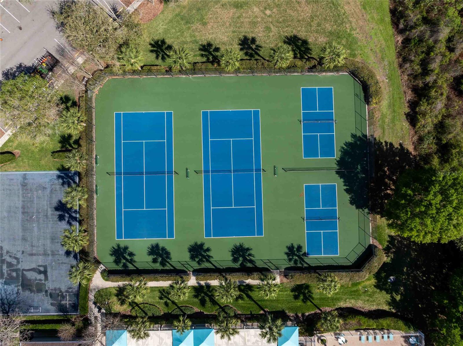 4045 MARCHMONT BLVD, LAND O LAKES, FL, 34638