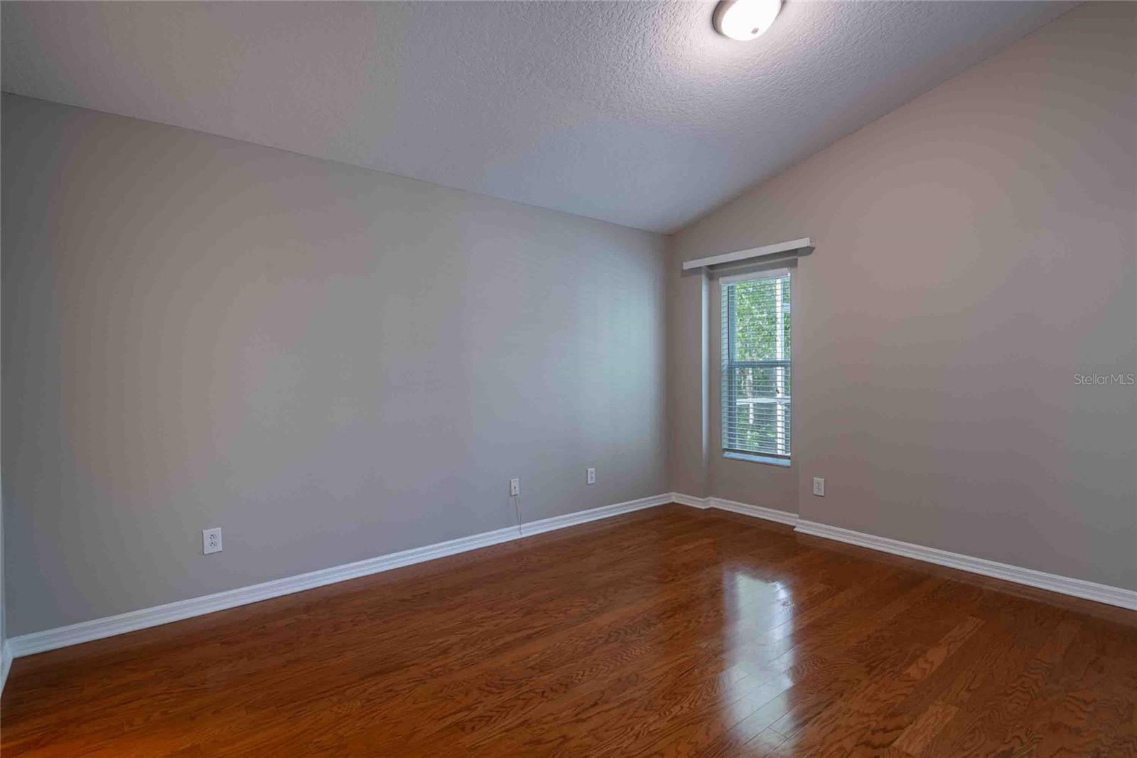 4045 MARCHMONT BLVD, LAND O LAKES, FL, 34638