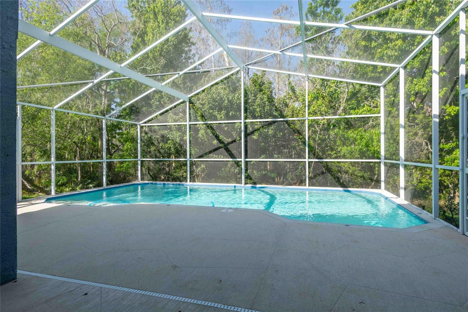 4045 MARCHMONT BLVD, LAND O LAKES, FL, 34638