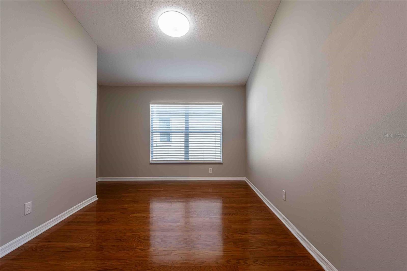 4045 MARCHMONT BLVD, LAND O LAKES, FL, 34638