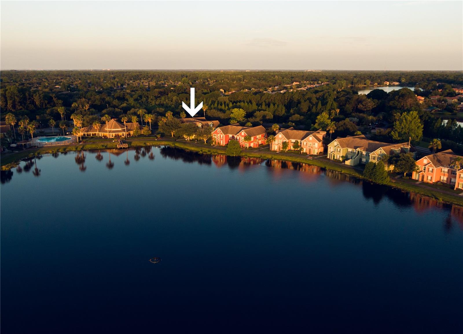 9412 LAKE CHASE ISLAND WAY #9412, TAMPA, FL, 33626