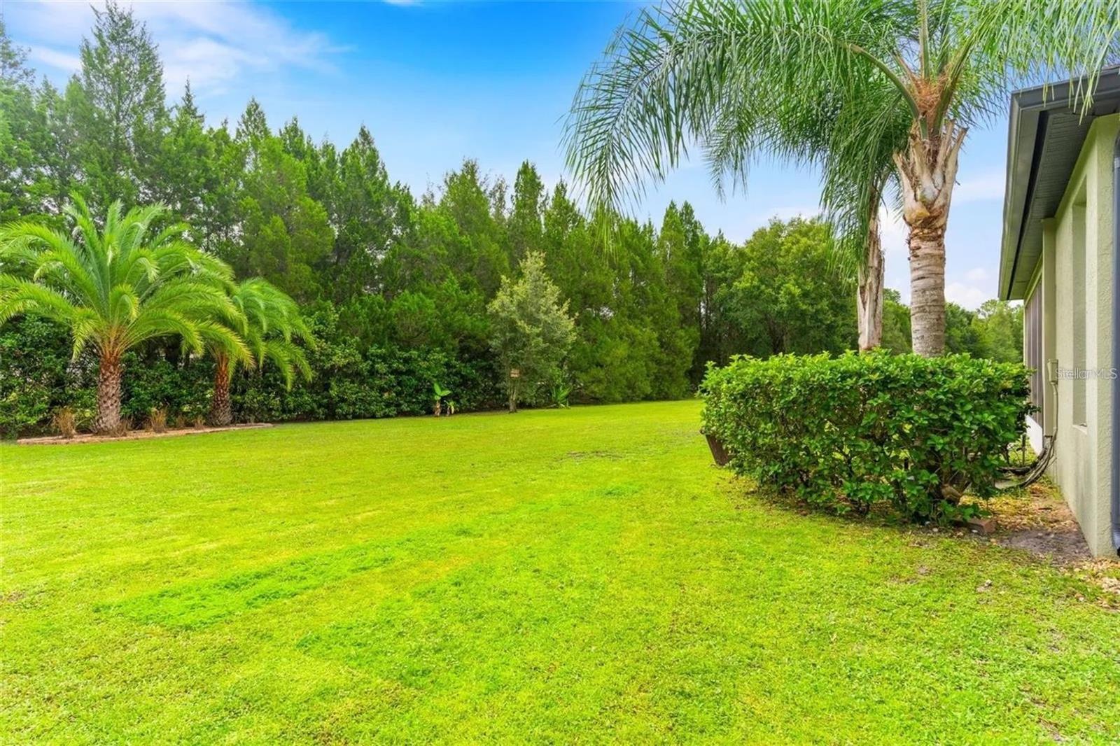 1122 NASHVILLE DR, WESLEY CHAPEL, FL, 33544