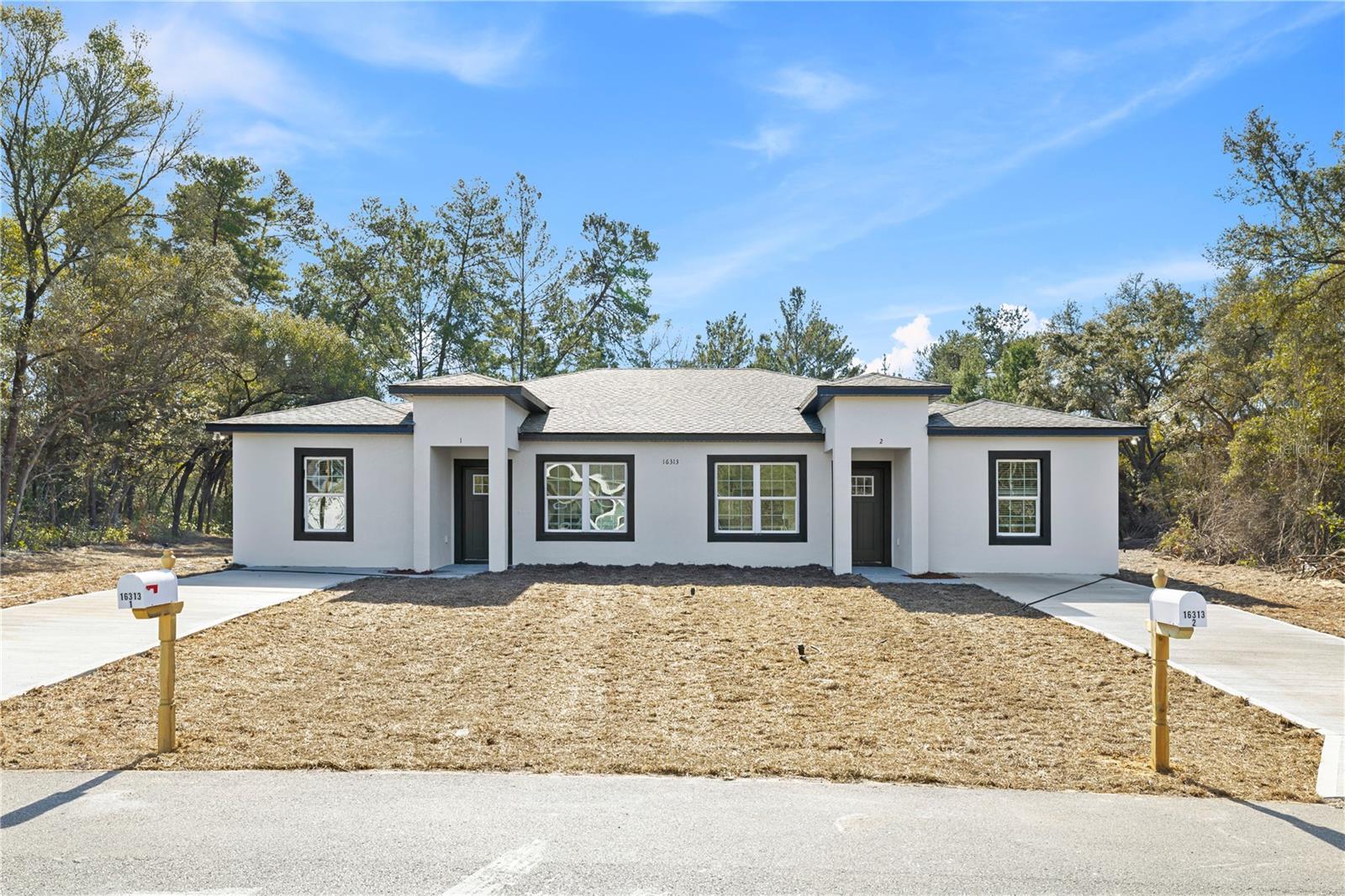 16313 SW 29TH COURT RD, OCALA, FL, 34473