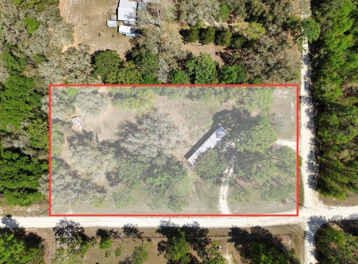 12231 NE 64TH PL, WILLISTON, FL, 32696