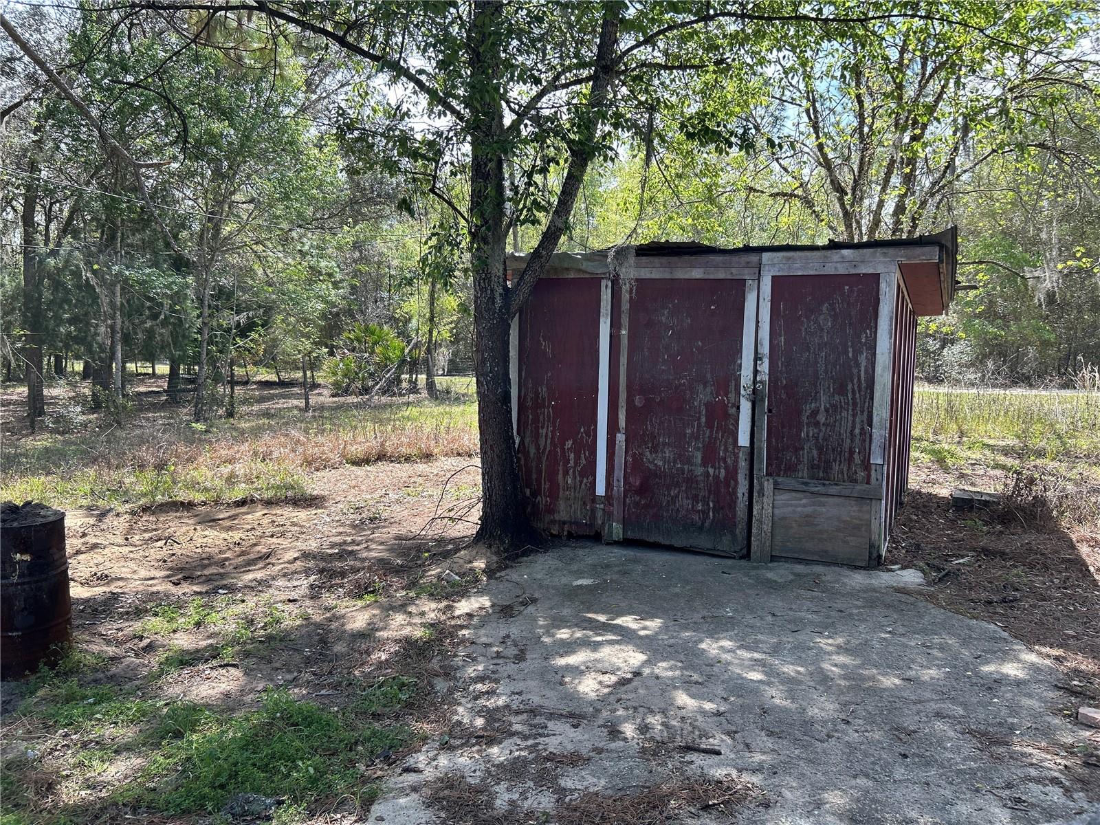 12231 NE 64TH PL, WILLISTON, FL, 32696