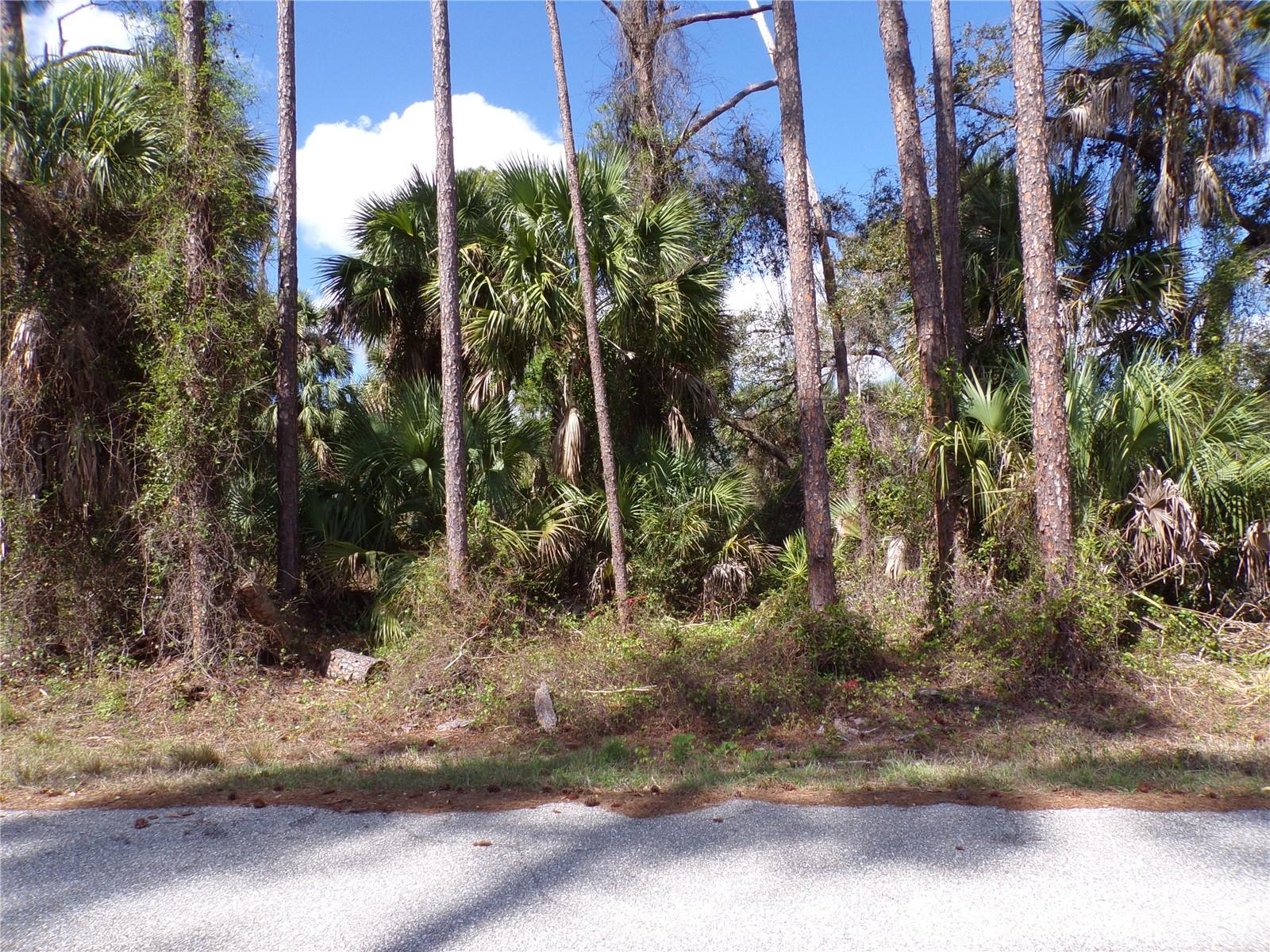 107 MERCER ST, PORT CHARLOTTE, FL, 33954
