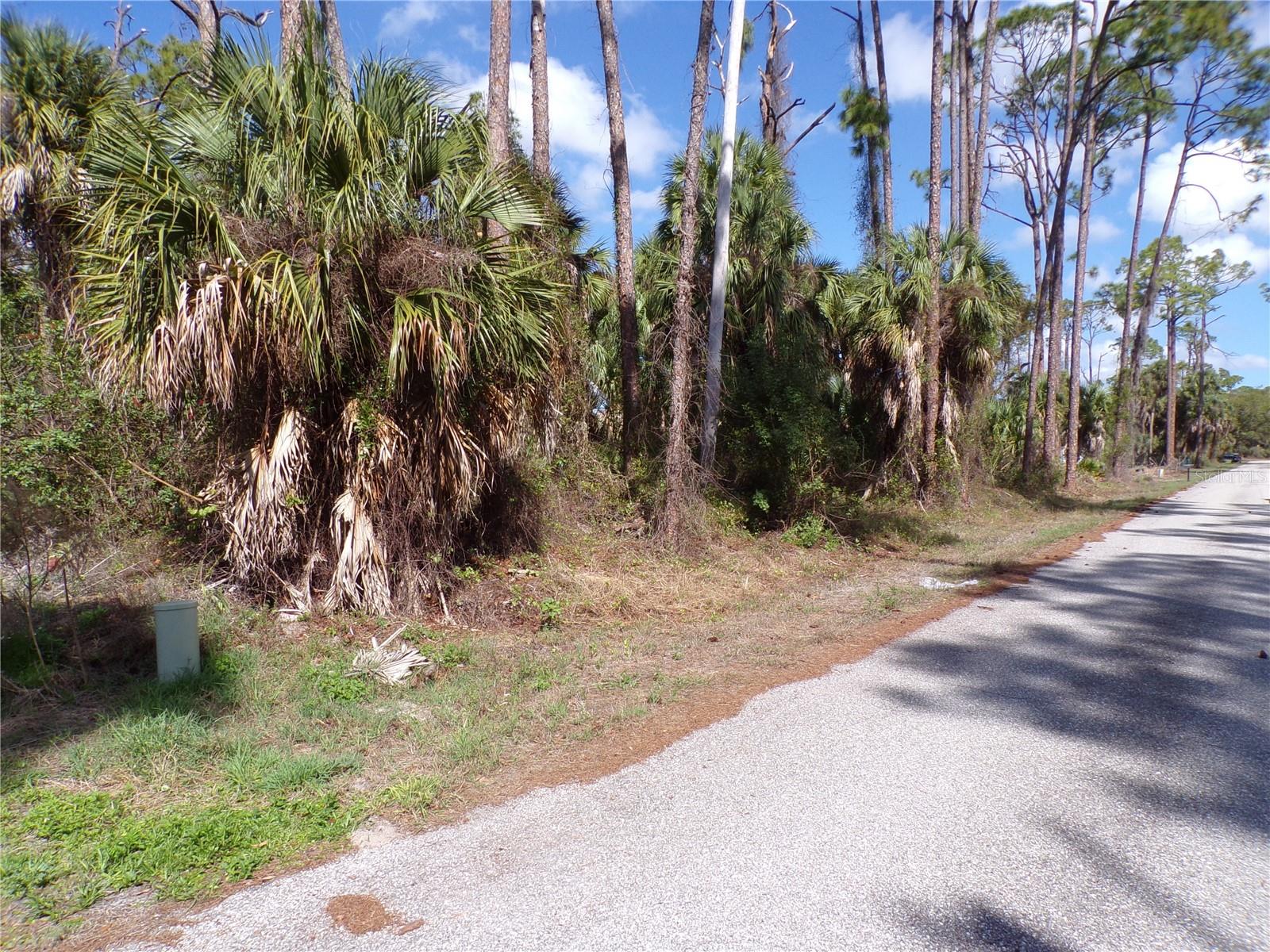 107 MERCER ST, PORT CHARLOTTE, FL, 33954
