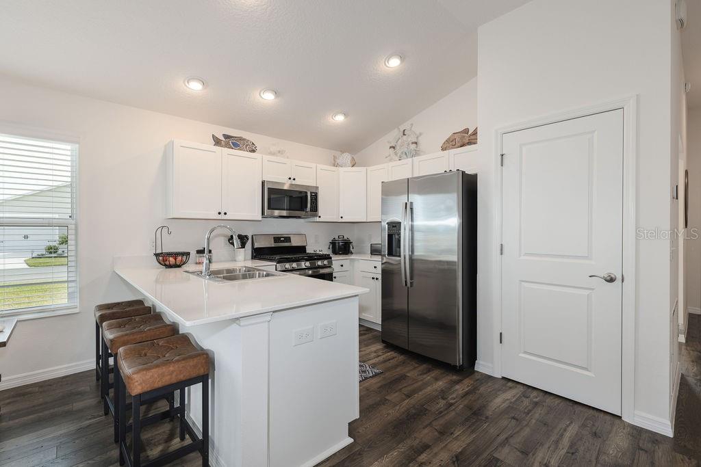 1535 PJ MARTIN CT, THE VILLAGES, FL, 32163
