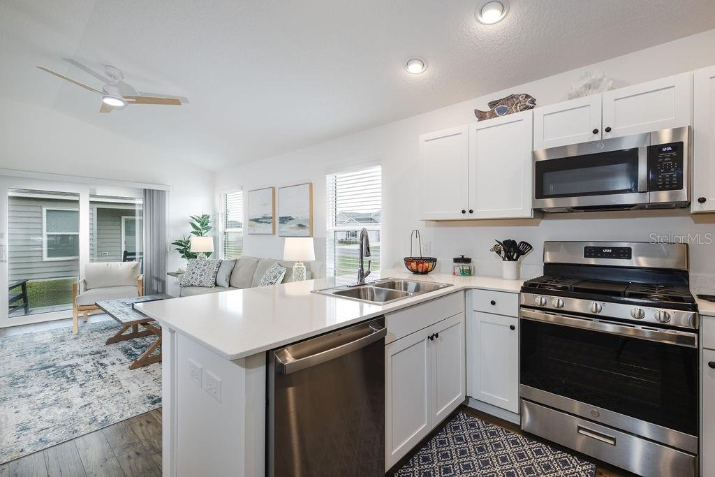 1535 PJ MARTIN CT, THE VILLAGES, FL, 32163