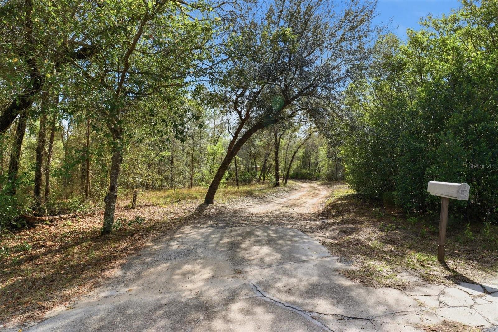 4950 W MOCKINGBIRD ST, HOMOSASSA, FL, 34446