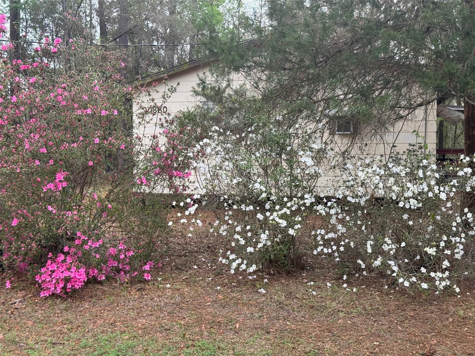 5435 SW 204TH AVE, DUNNELLON, FL, 34431