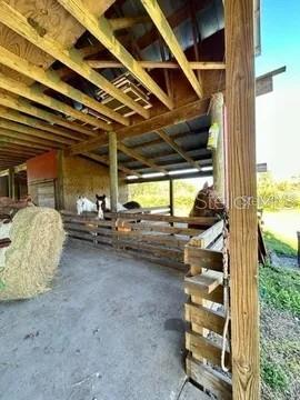 806 W ARIEL RD, EDGEWATER, FL, 32141