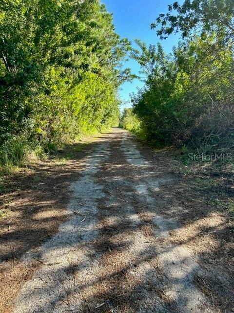 806 W ARIEL RD, EDGEWATER, FL, 32141