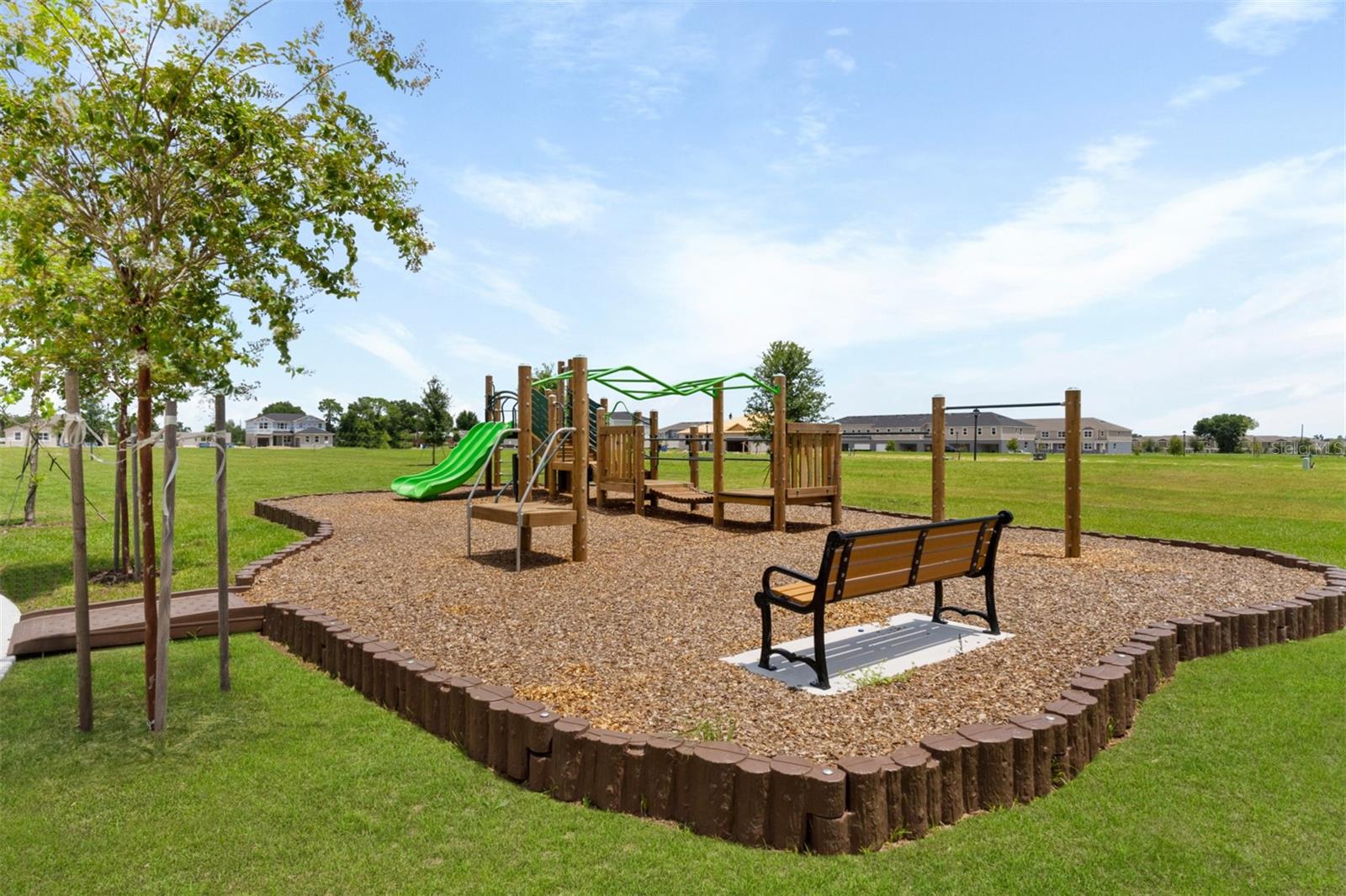 2951 CAMELLIA FLOWER ST, APOPKA, FL, 32703