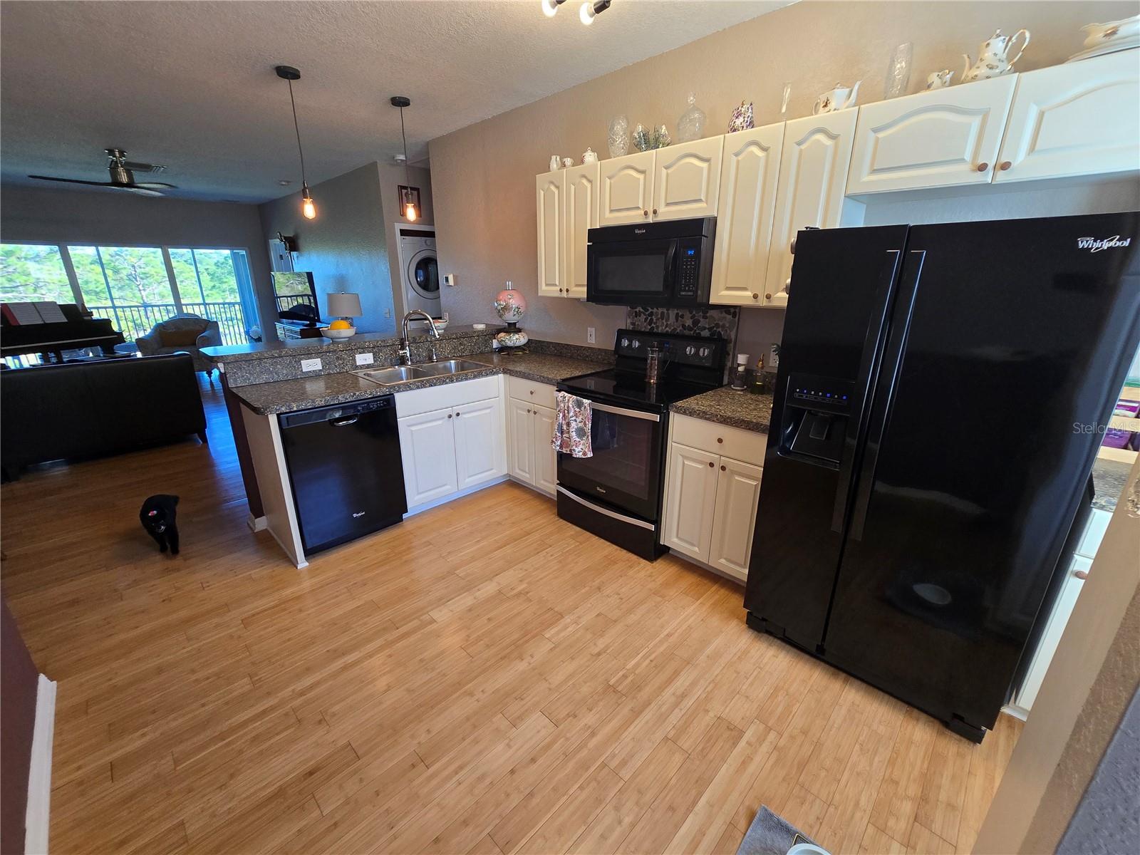 3919 CAPE HAZE DR #505, ROTONDA WEST, FL, 33947