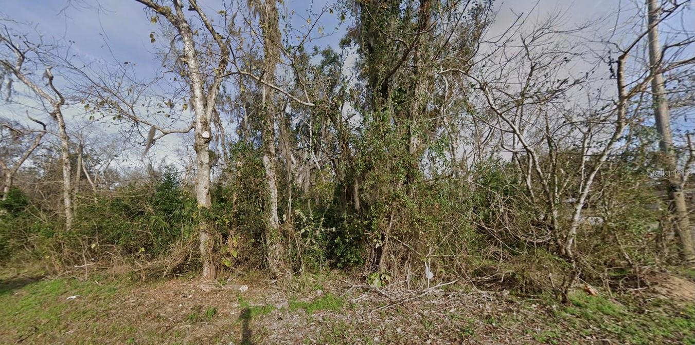 1615 SE LANVALE ST, LAKE CITY, FL, 32025