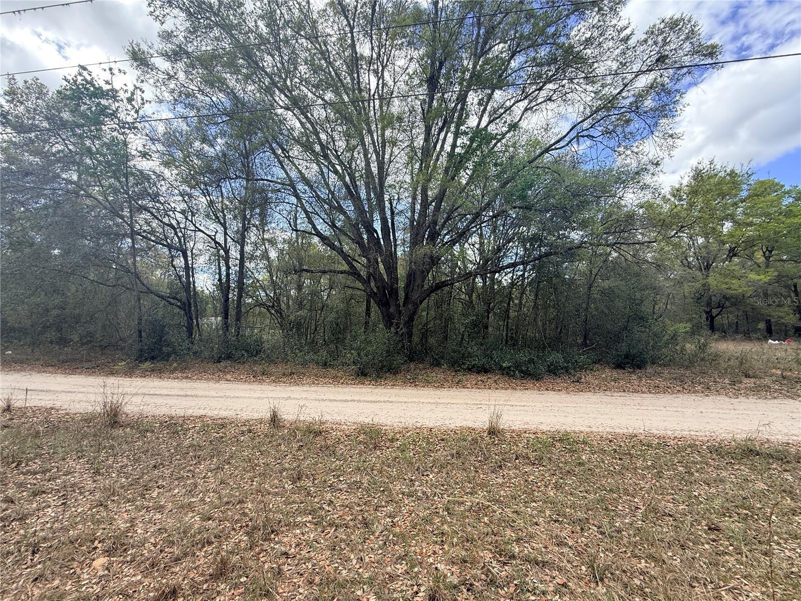 Lots 34-36 NW 52ND AVE, OCALA, FL, 34482