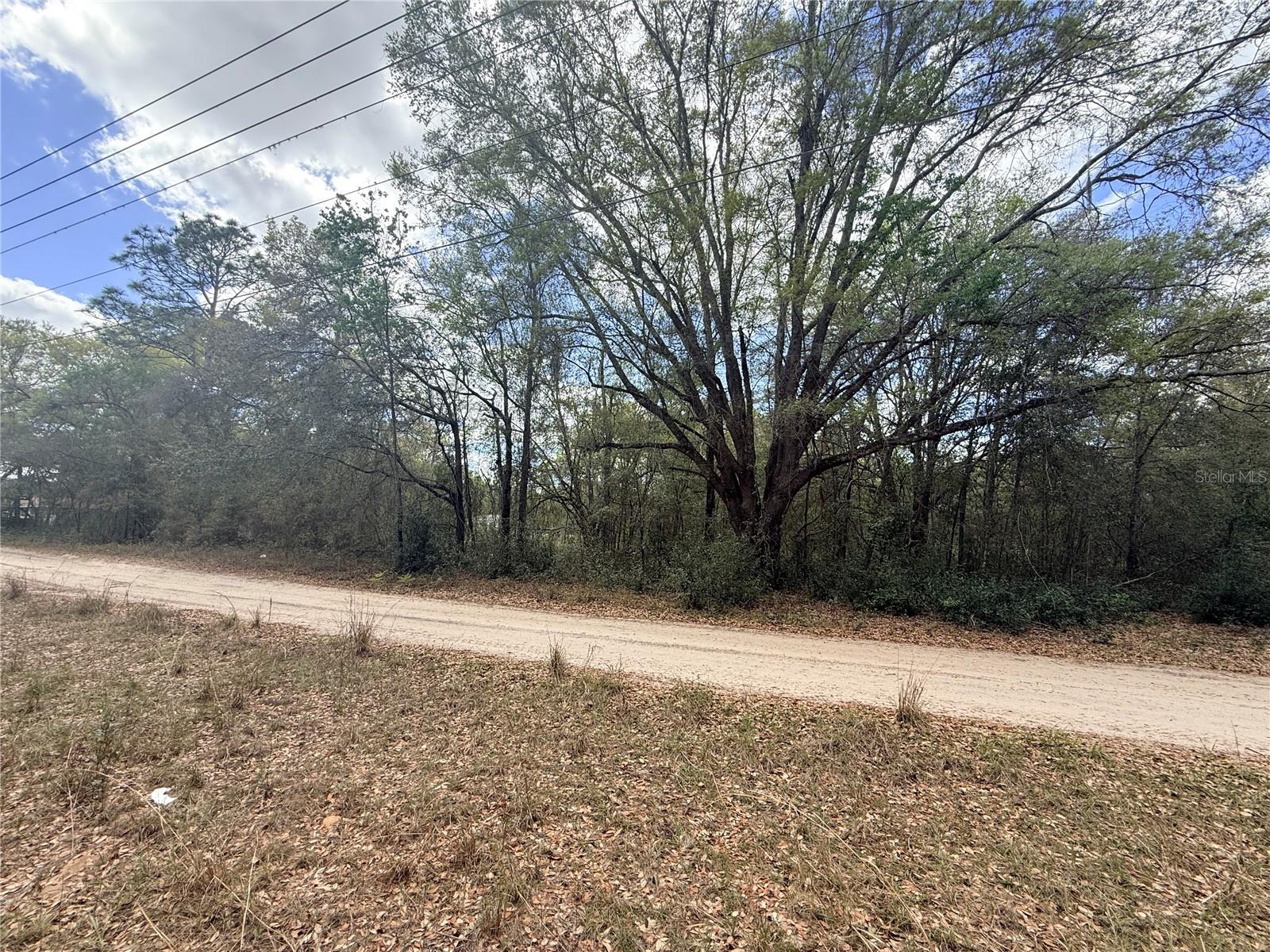 Lots 34-36 NW 52ND AVE, OCALA, FL, 34482